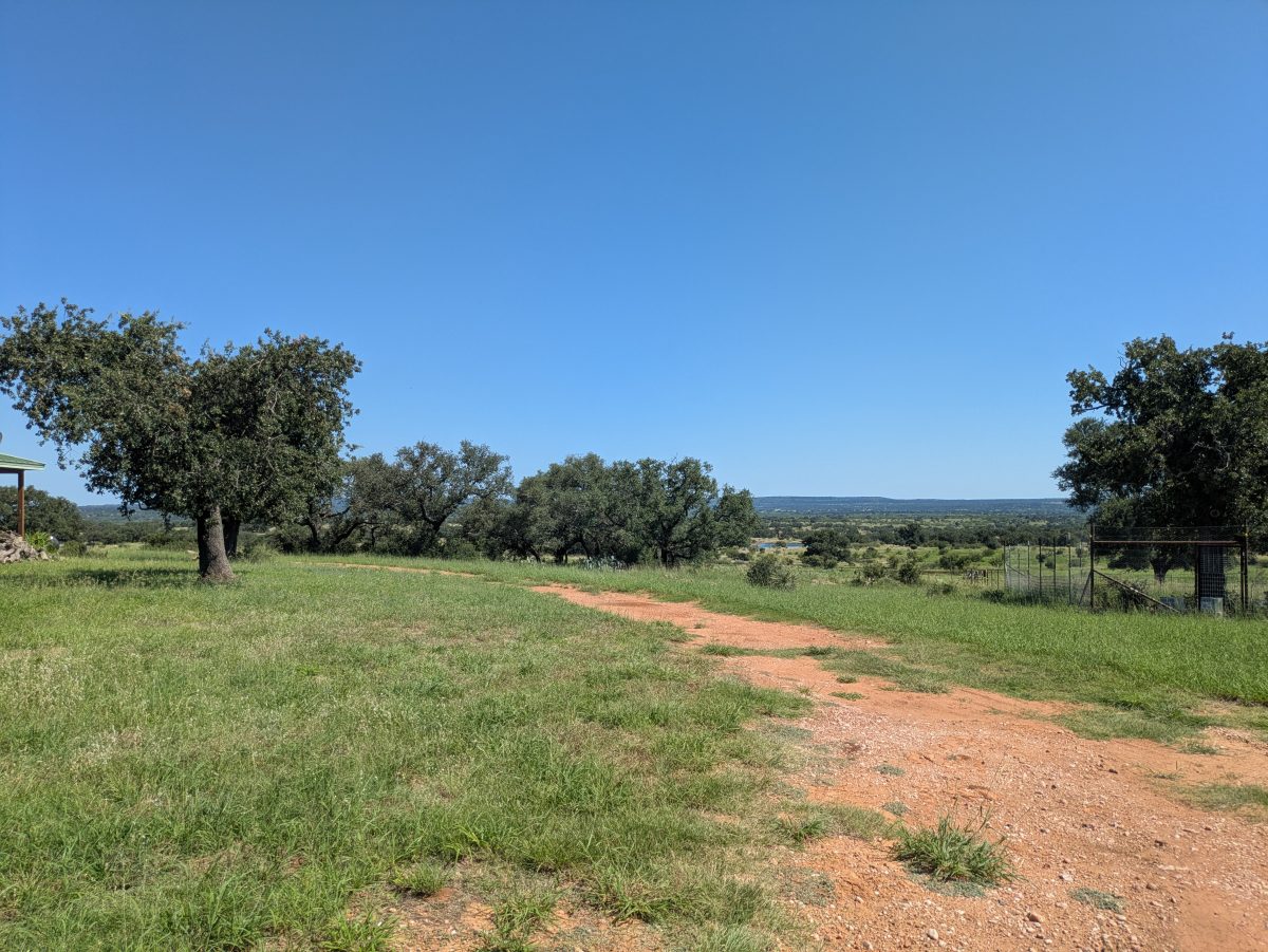 PXL_20250724_160053359