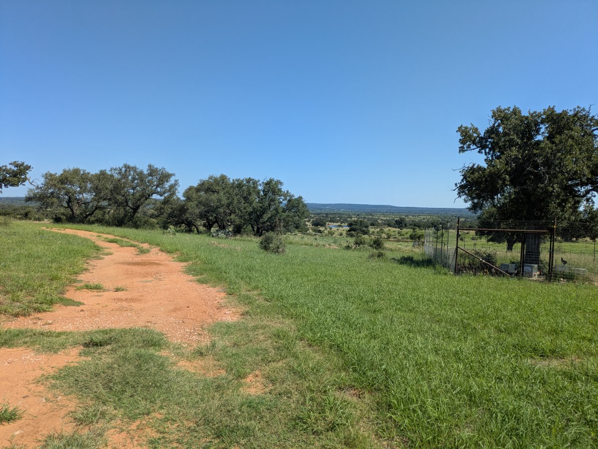 PXL_20250724_160105021