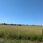 PXL_20250724_160217772.MP