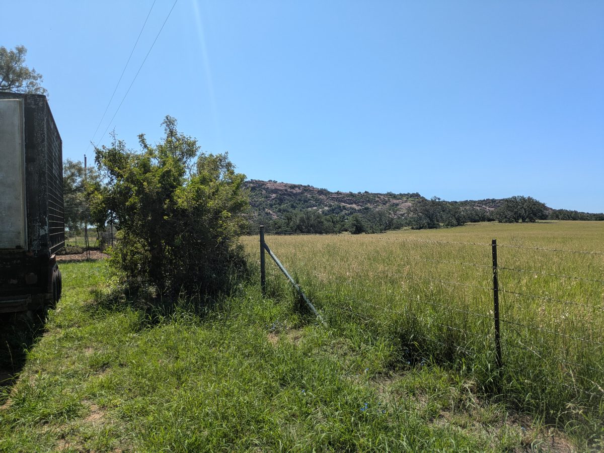PXL_20250724_160224099