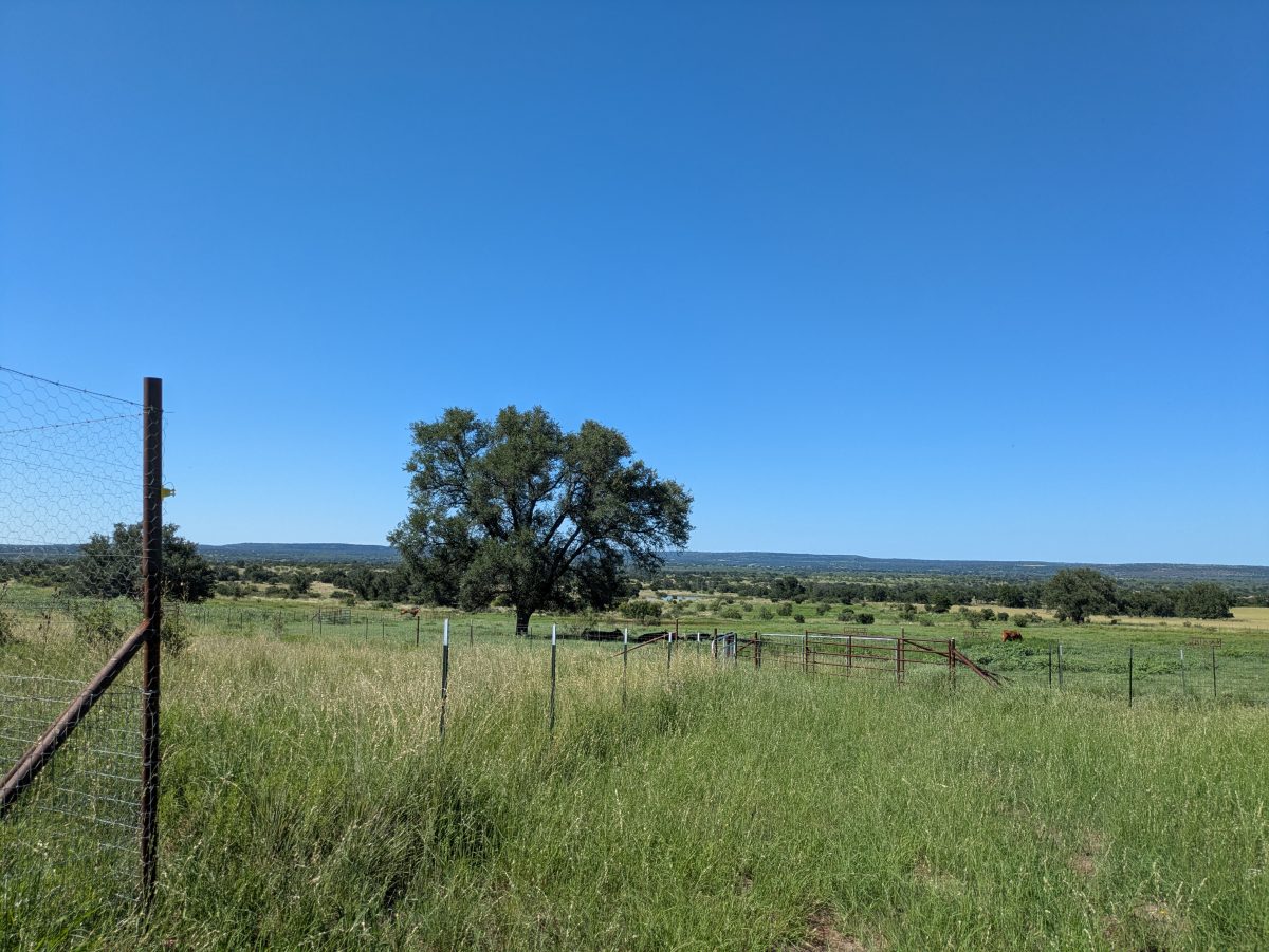 PXL_20250724_214320616